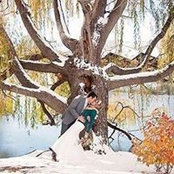 Michelle McQueen's photo