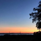 Monika Curtis's photo