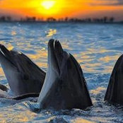 梁健鉦s foto