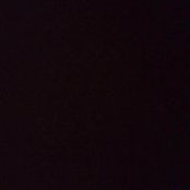 Joel Adrien's photo