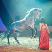 Marie-sara Reda's photo