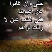 Amr Noby's photo