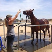 kristen barnett's photo