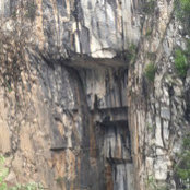 Isabel Oliveira's photo