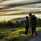 Alexandre Fortin's photo