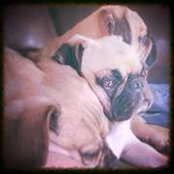 Margie Winkelmann's photo