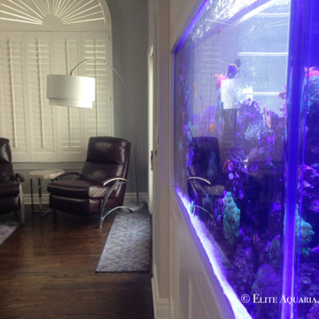 Custom Saltwater Aquarium, Westchester NY