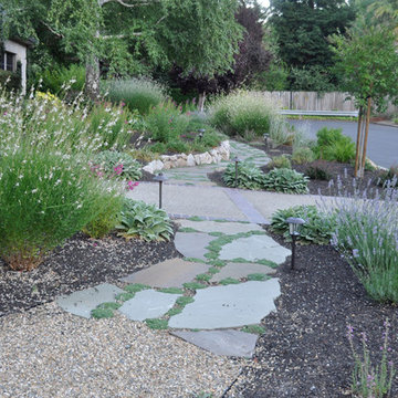 Drought Tolerant 1