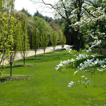Main Line Residence