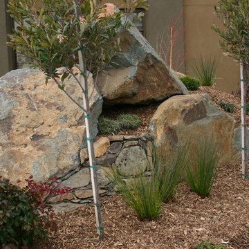 Liquid FX Pools - Sutter Gould Project