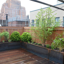 Rooftop Landscaping
