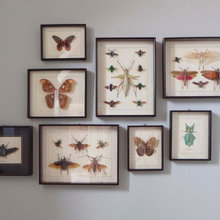 wall deco