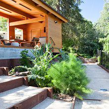 Landscape Steps