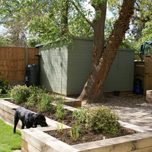 L&S Spring Backyard Project