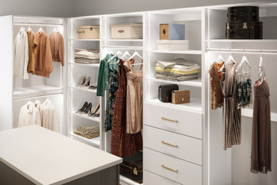 Example of a closet design in New York