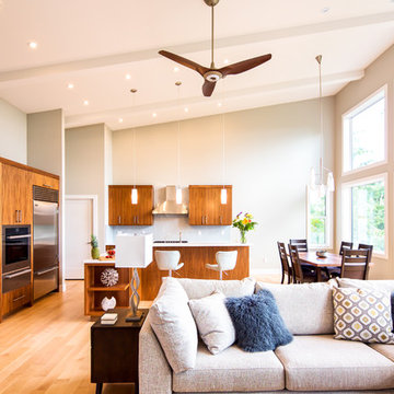 Mid Century Modern, New Build