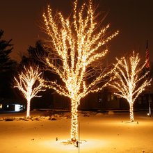 Christmas Decor