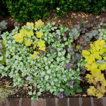 Gamble Garden Spring Tour 2014: Melville