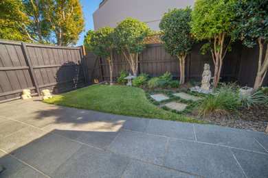 Design ideas for a mid-sized contemporary courtyard xeriscape in Sydney with with privacy feature and concrete pavers.