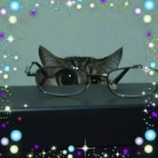 Marion Pptt's photo