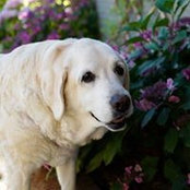 Deborah Rubens's photo
