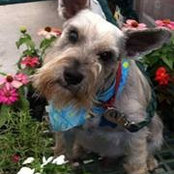 Kathy Miller's photo
