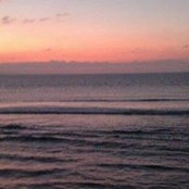 Fran Martin's photo