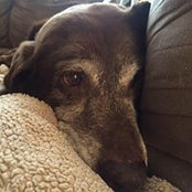 Sheila Kent's photo