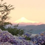 Rosa Piscoya's photo