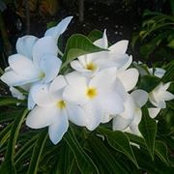 Kathryn Claussen Kallmyer's photo