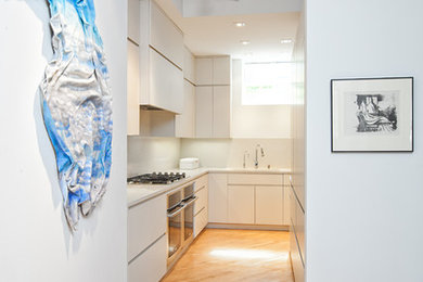 Inspiration for a contemporary kitchen remodel in New York
