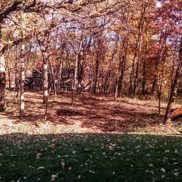 Stump Removal
