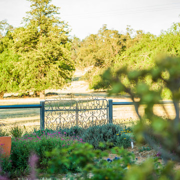 Country Garden