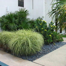 Front yard