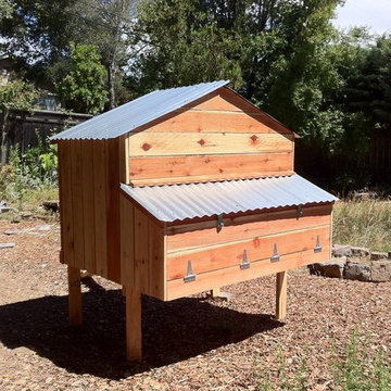 Chicken Coops