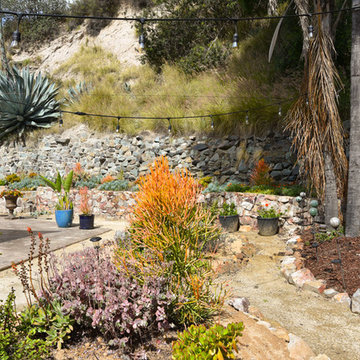 Mid Century Moder Home San Diego Xeriscape Landscape