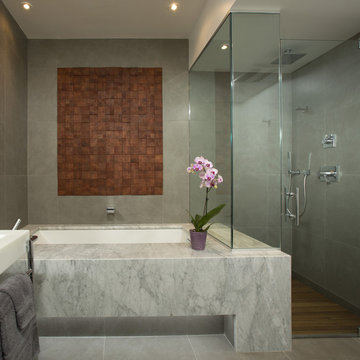 Washington DC Condo - Fireplace and Master Bath