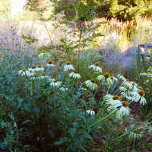 Portland garden ideas