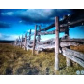 Reta Sutton's photo