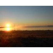 Jannelle Birchall Olson's photo