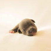 Carly Powell's photo