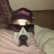 Harry Bolger's photo