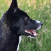 Louise Allan's photo