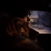 Foto von Melissa Riggs