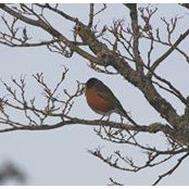 Rita Vincent's photo