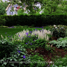 Landscape Ideas