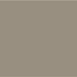 Dulux Light Leather - Paint