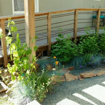 Berkeley Native Creekside Courtyard