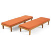 Noble House Nadine Outdoor Wood Lounge Cushion (Set of 2) Teak/Rust Orange
