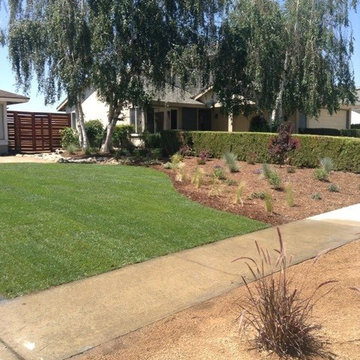 Our Work